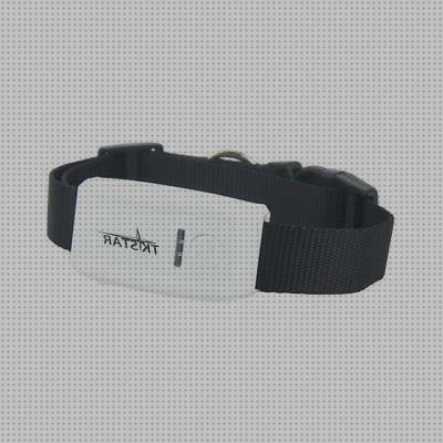 Las mejores marcas de perros gps perros tk star