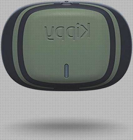 ¿Dónde poder comprar Más sobre vallas invisibles perros gps gps perro gps perros track vs evo?