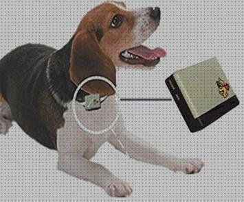 Opiniones de los 19 mejores Gps Xexun Para Perros