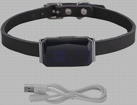 Las mejores marcas de perros hangang collar gps perros
