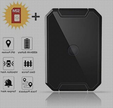 Los 23 Mejores Lncoon Mini Localizadores Gps