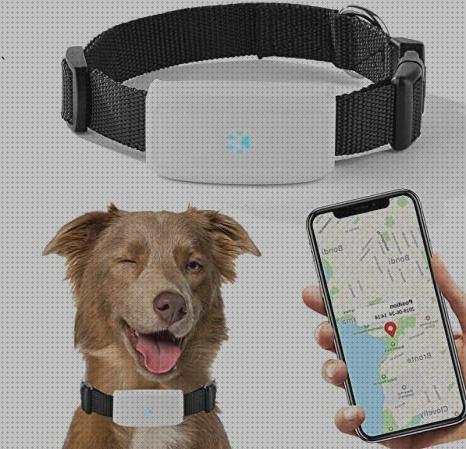 Las mejores Más sobre localizador gps sin instalacion Más sobre localizador gps patinete localizadores gps localizador gps en tiempo real