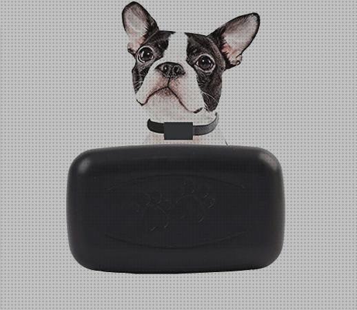 Review de los 26 mejores localizadores gps lbs