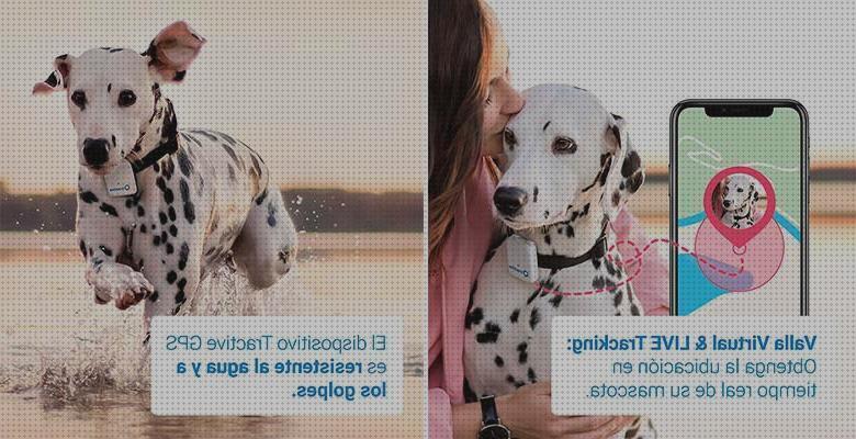 Opiniones de los 28 mejores Localizadores Gps Mascotas Tractive