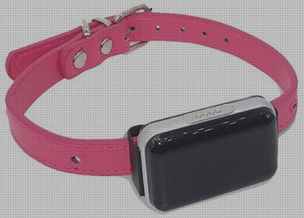 Las mejores mascotas localizador gps mascotas tractive