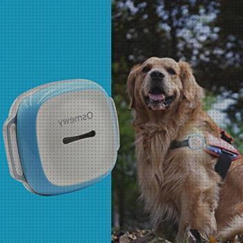 Las mejores gps niños localizador gps niños adolescentes
