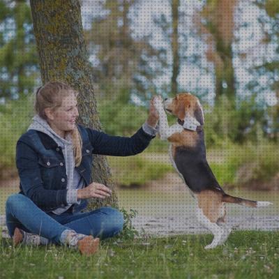 Review de localizador gps pequeño mundo