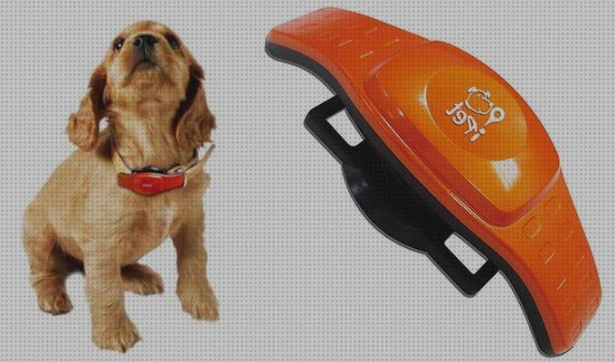 ¿Dónde poder comprar localizador gps perros gps perro localizador gps perros sin cuota?