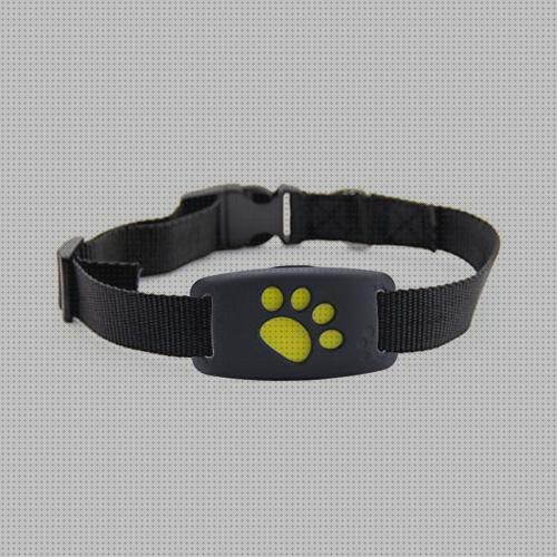 Las mejores marcas de localizador gps perros gps perro localizador gps perros sin cuota