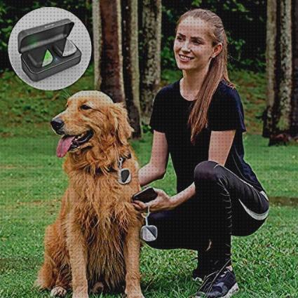 Review de localizador gps perros sin cuota
