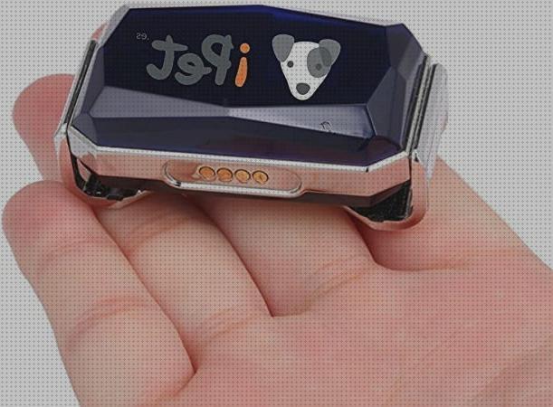 Los mejores 21 Localizadores Gps Para Perros Sin Cuotas