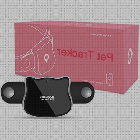 Las mejores marcas de gps perros sim gps perro localizador gps perros tarjeta sim normal