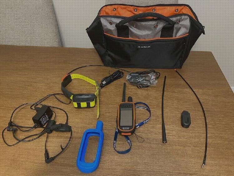 Las mejores marcas de localizador gps perros gps perro localizador perros gps segunda mano