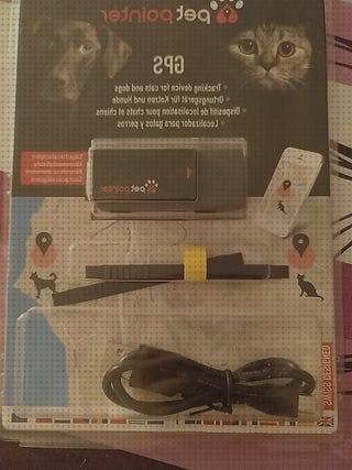 Las mejores localizador gps perros gps perro localizador perros gps segunda mano