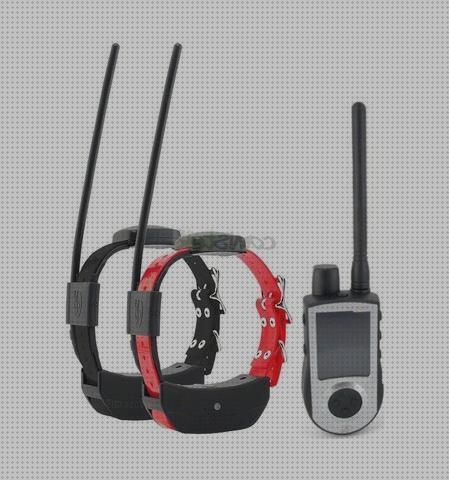 Review de localizador perros gps segunda mano
