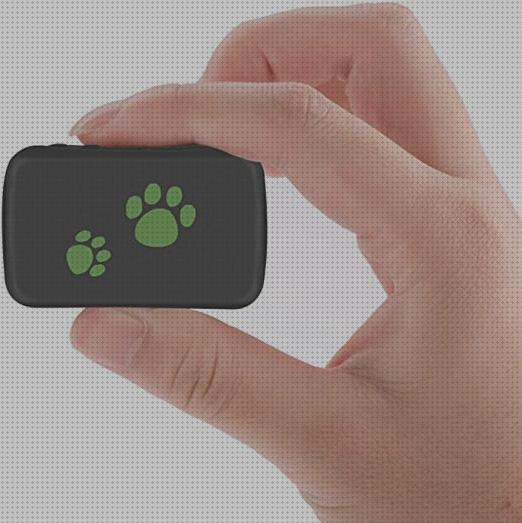 Review de localizador rastreador gps mascotas