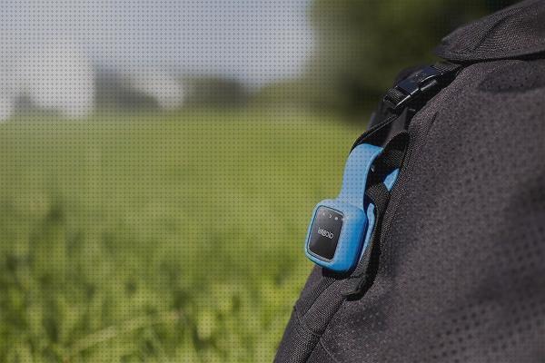 Las mejores marcas de localizadores gps localizador bolso