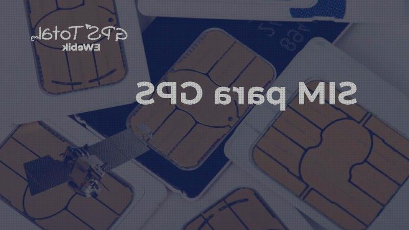 Análisis de los 22 mejores Microchip Localizadores Gps De Paqueterías