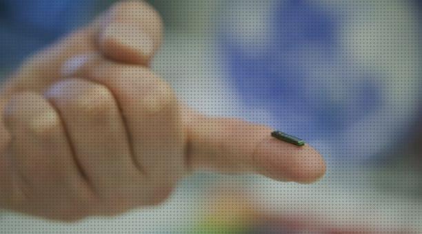Opiniones de los 30 mejores Microchip Localizadores Gps Humanos