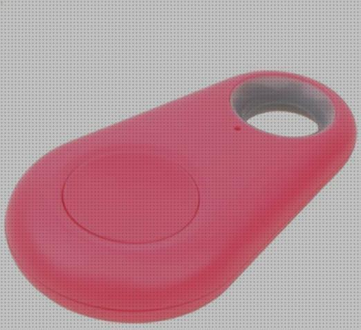 Las mejores marcas de perros mini gps coche perros