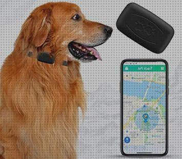 Opiniones de las 19 mejores Mini Gps Tracker Para Perros Sin Tarjetas