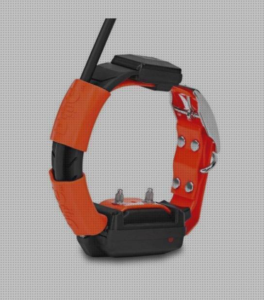 Análisis de los 22 mejores Modulos Gps Localizadores Gps