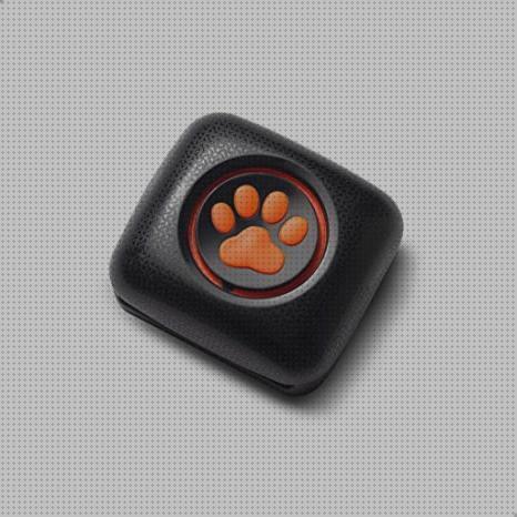 ¿Dónde poder comprar Más sobre vallas invisibles perros gps gps perro monitor actividad y gps perros?