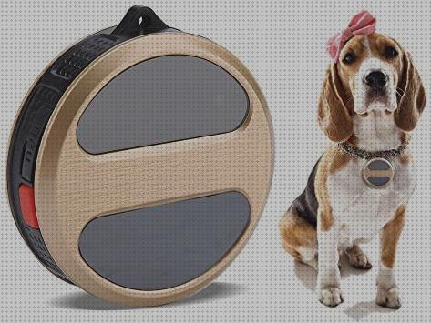 Review de monitor actividad y gps perros
