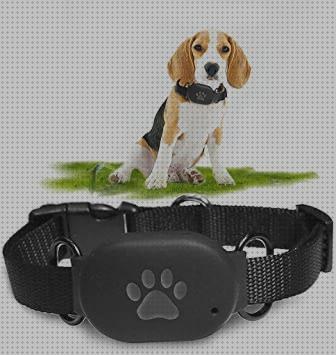 Análisis de los 16 mejores Monitores Actividades Y Gps Para Perros