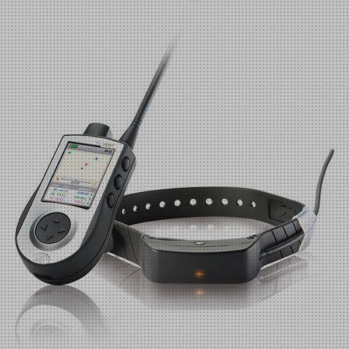 Las mejores garmin perros