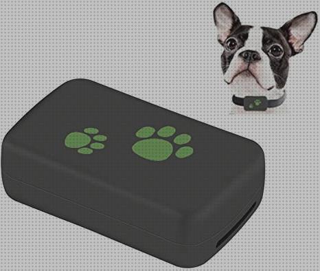 ¿Dónde poder comprar perros rastreador de perros perdidos gps?