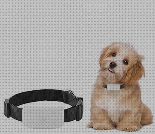 Review de rastreador de perros perdidos gps