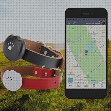 ¿Dónde poder comprar rastreador rastreador perro gps?