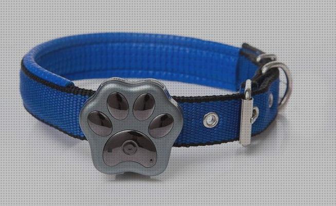 Los 20 Mejores Rastreadores Para Perros Gps