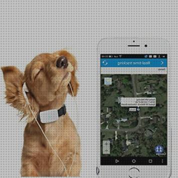 Opiniones de los 21 mejores Tkstar 925 Gps Para Perros
