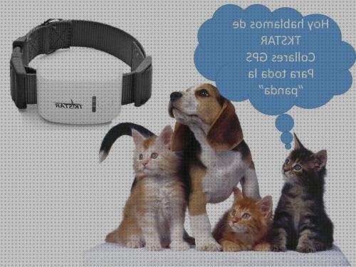 Las mejores gps tkstar perros gps perro tkstar gps perros instrucciones