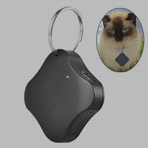 Las mejores marcas de perros tracer gps perros