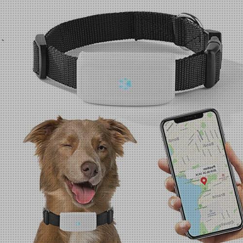 Las mejores marcas de tracker gps perros gps perro tracker gps perros barato
