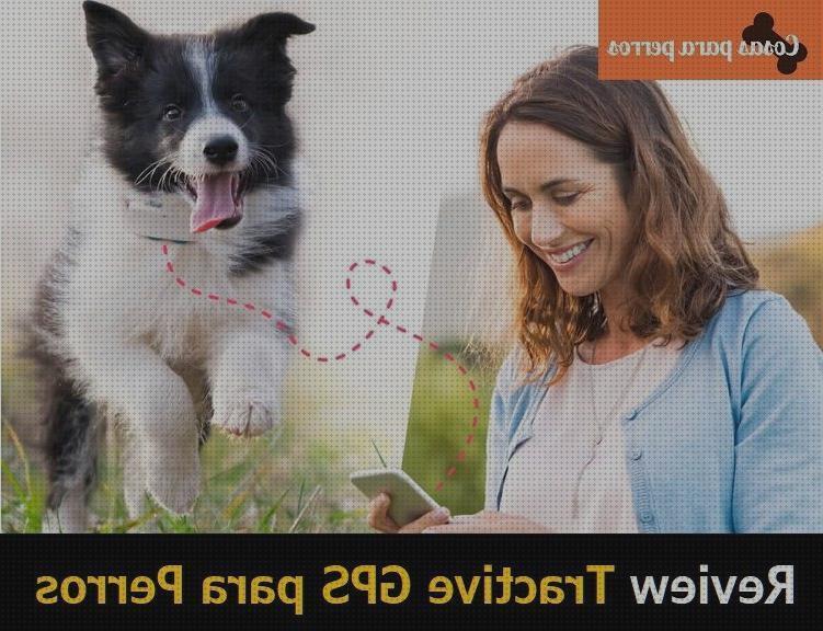 ¿Dónde poder comprar gps tractive perros gps perro tractive gps opiniones perros?