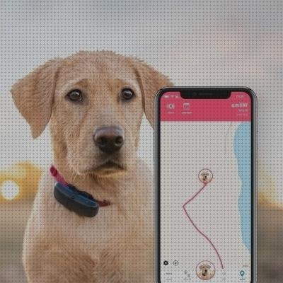 Las mejores marcas de gps tractive perros gps perro tractive gps opiniones perros