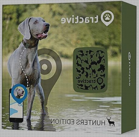 ¿Dónde poder comprar tractive tractive gps perro?