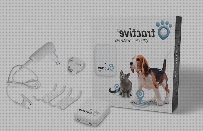 Opiniones de los 12 mejores Tractive Gps Para Perros