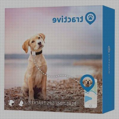¿Dónde poder comprar tractive?