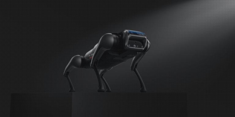 Las mejores gps perro xiaomi gps perros